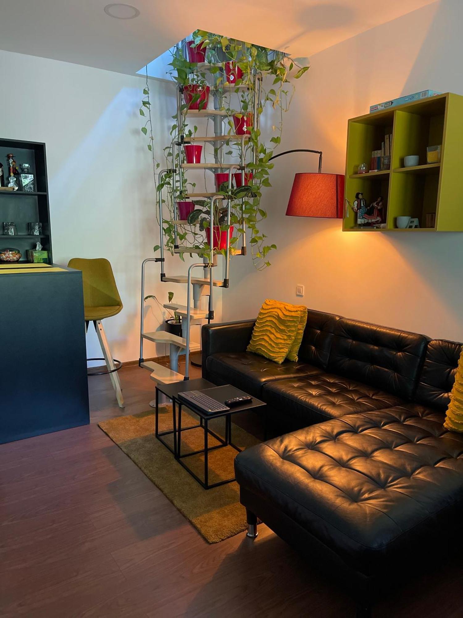 City Garden Apartments Bukarest Eksteriør billede