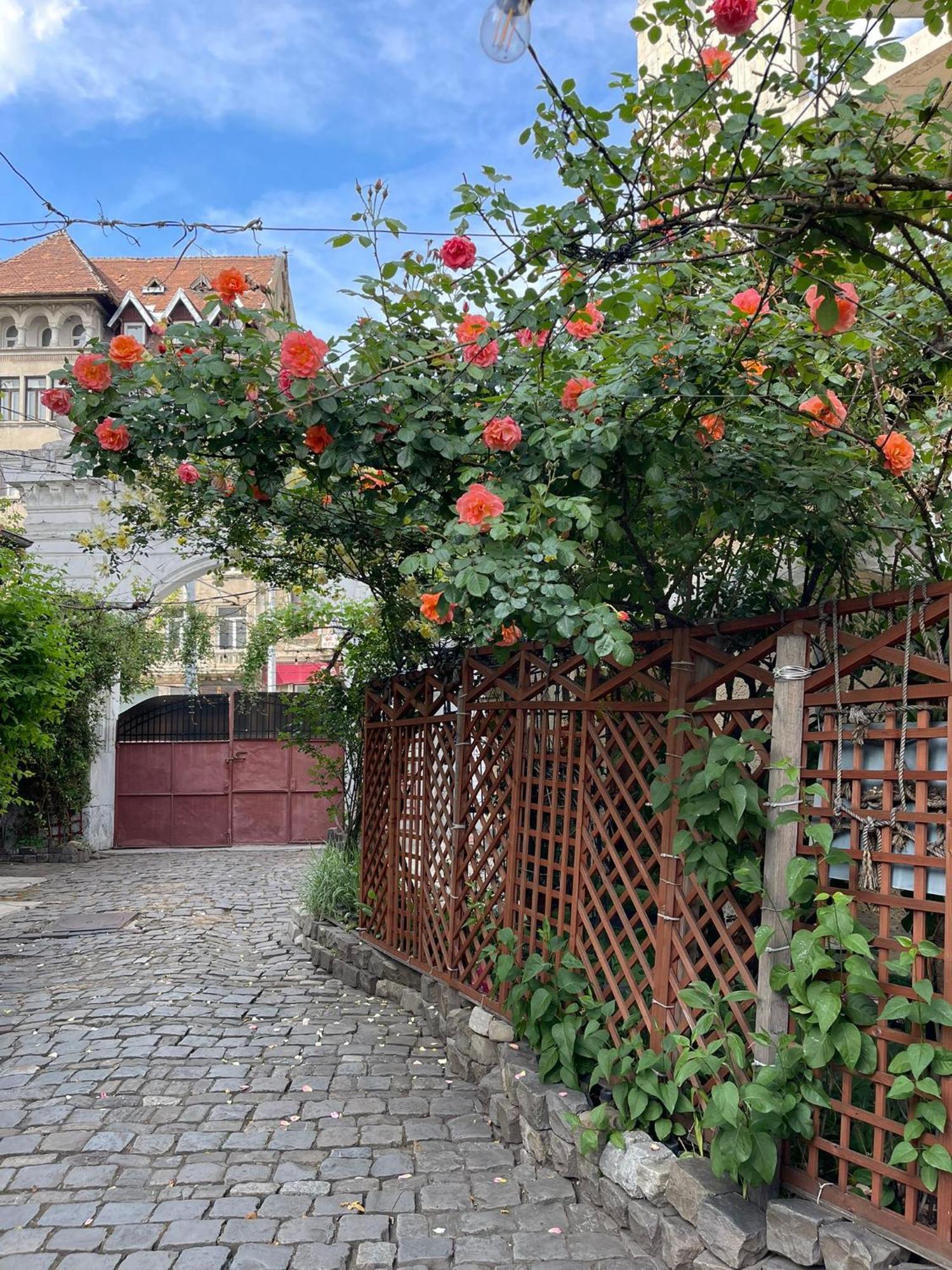 City Garden Apartments Bukarest Eksteriør billede
